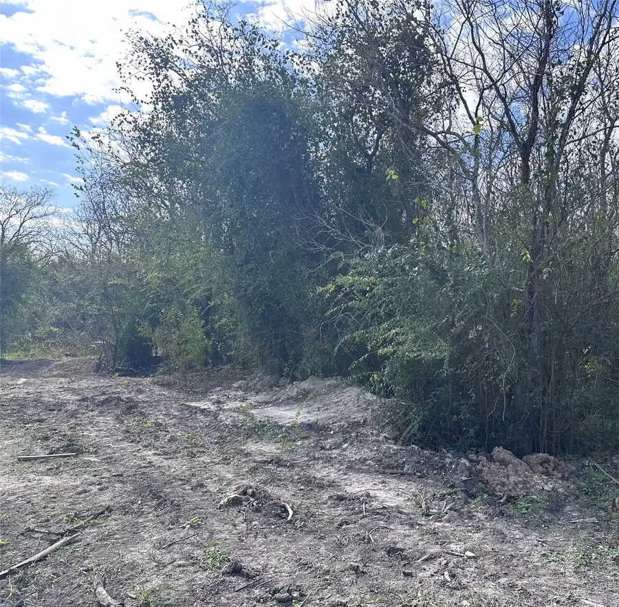 0 Donna Street Street, Houston, TX 77048 - #3