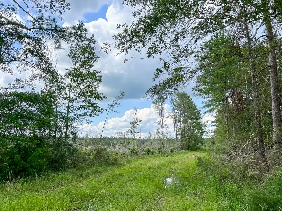 1 Old Honey Island Road, Kountze, TX 77625 - #2