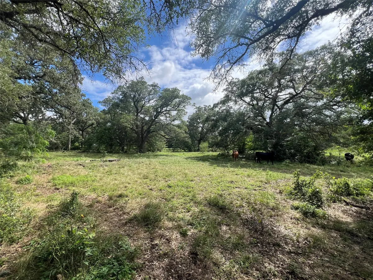 3500 Fm 1579, Schulenburg, TX 78956 - #1