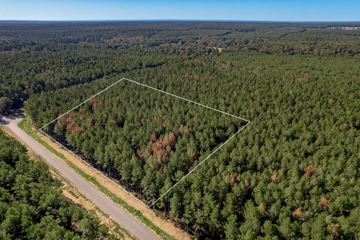 1 Queen Anne Way, Huntsville, TX 77340 - #1