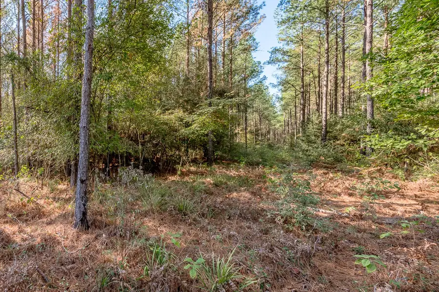 1 Queen Anne Way, Huntsville, TX 77340 - #2