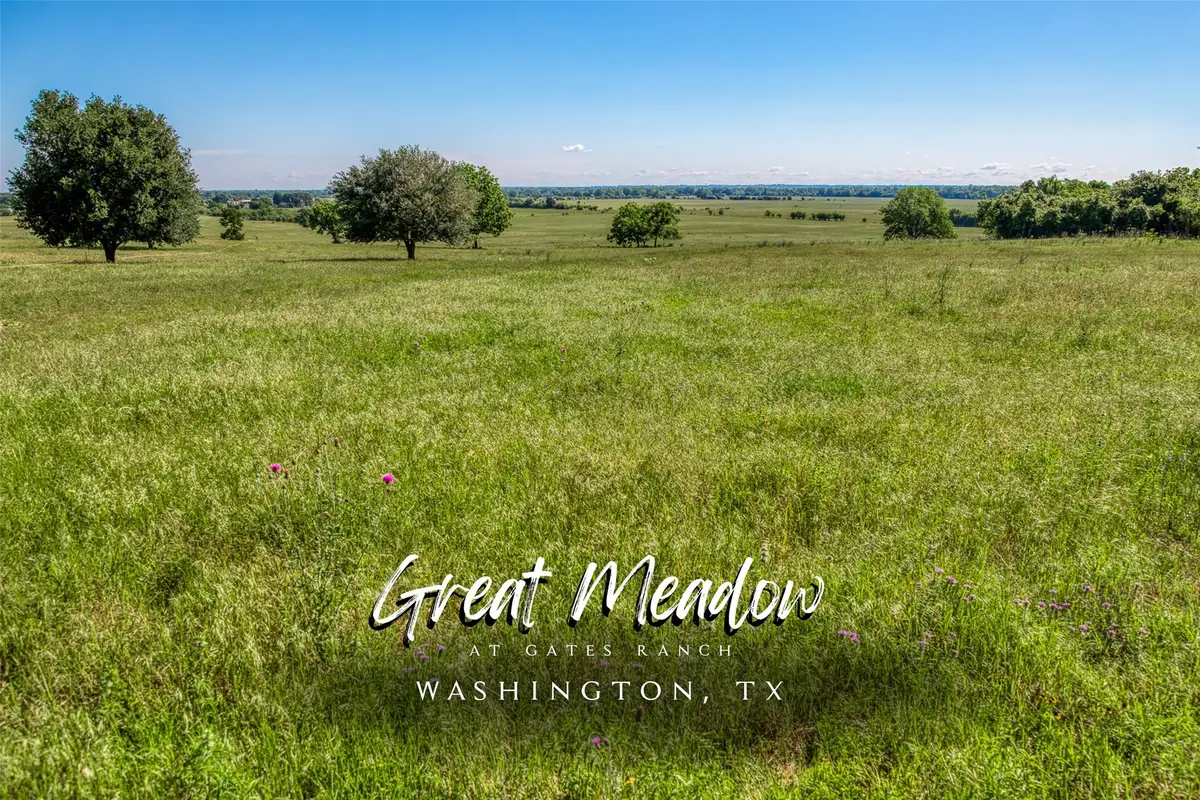 000 Egypt Lane, Washington, TX 77880 - Image #1