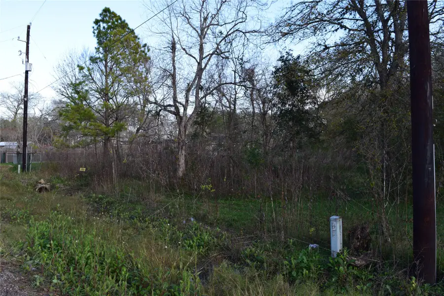 9721 Cr 544c, Manvel, TX 77578 - #3