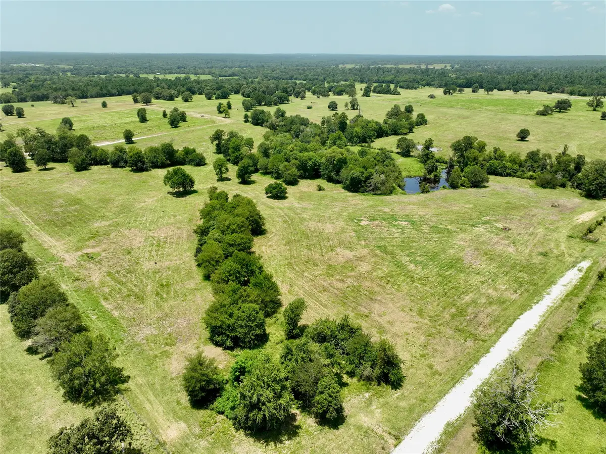 6293 County Road 216, Richards, TX 77873 - #1