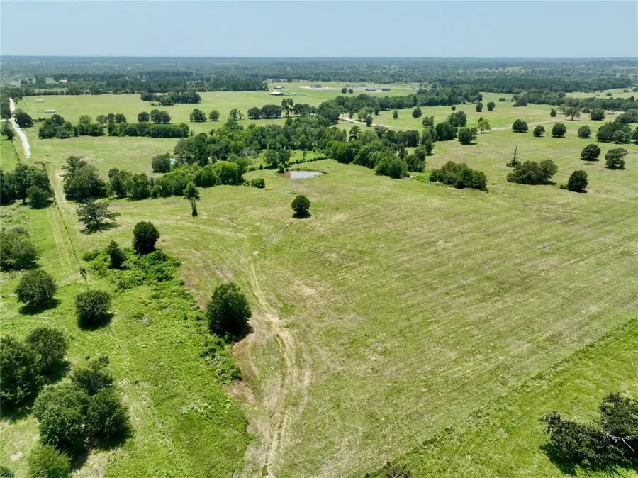 6293 County Road 216, Richards, TX 77873 - #3