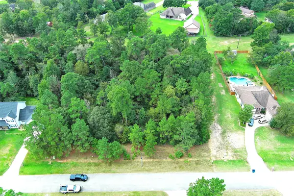 172 Port Au Prince Court, Montgomery, TX 77316