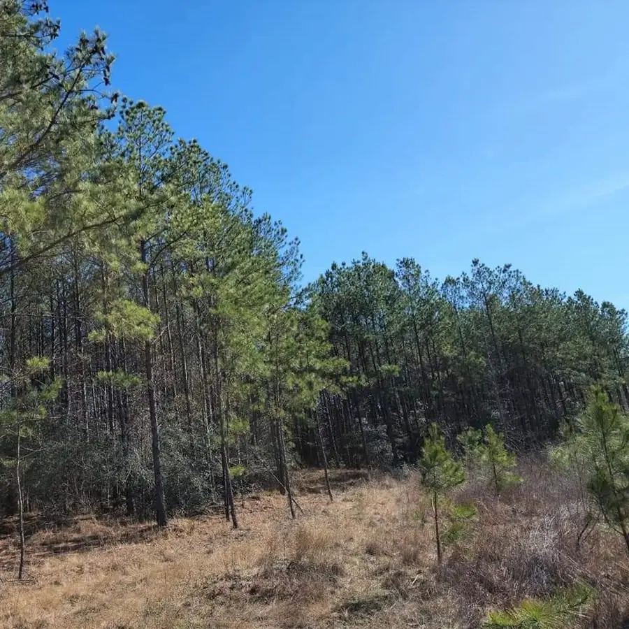 26827 Us-59 Road, Corrigan, TX 75939 - #2