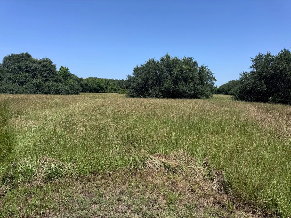 3 Center Tree Drive Drive, Palacios, TX 77465 - #1