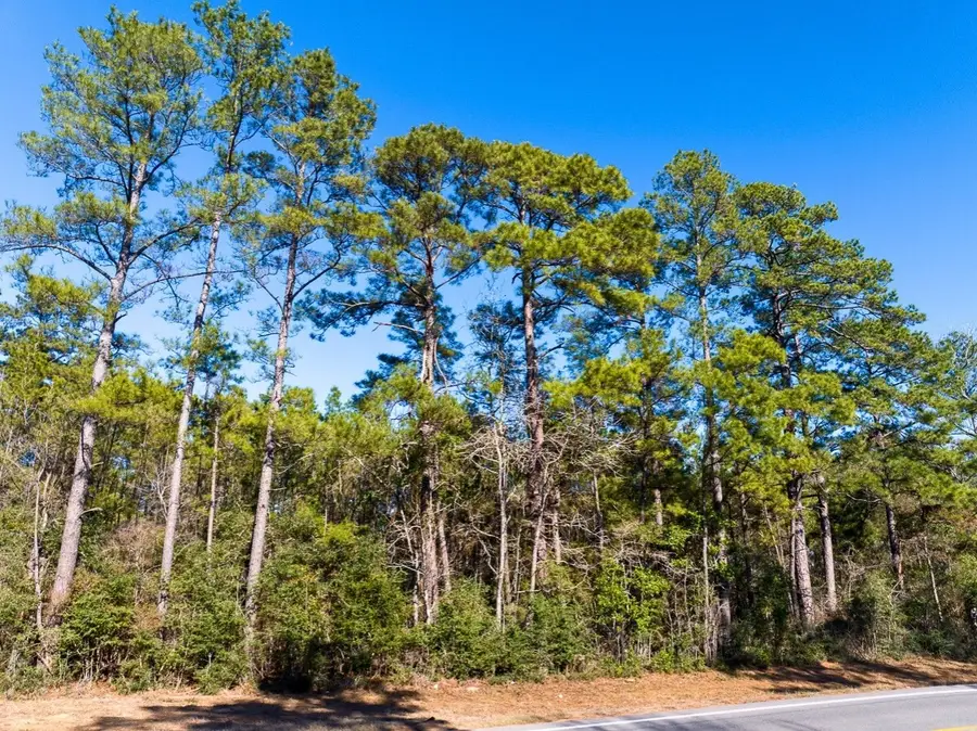 0 Fm 1725, Willis, TX 77378 - Image #3