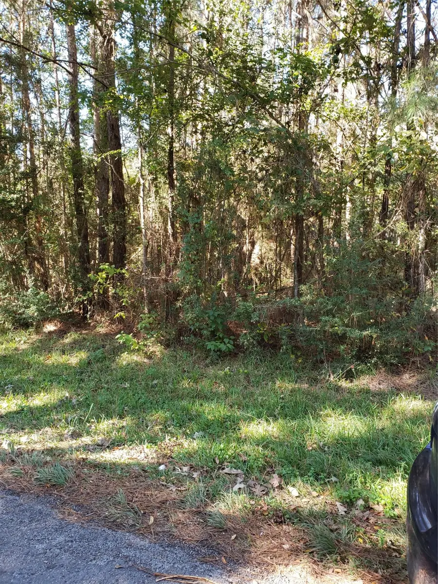 000 County Road 2097, Liberty, TX 77575 - Image #2