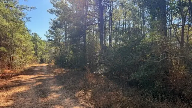 TBD Preacher Denson Road, Coldspring, TX 77331 - Image #3