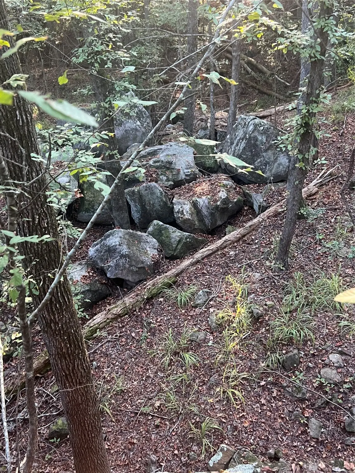 4304 Farm Market 352, Corrigan, TX 75939 - Image #1