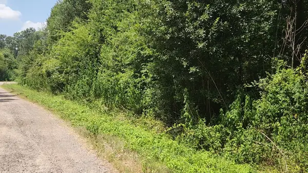 Lot 61 W Essex Road, Conroe, TX 77302
