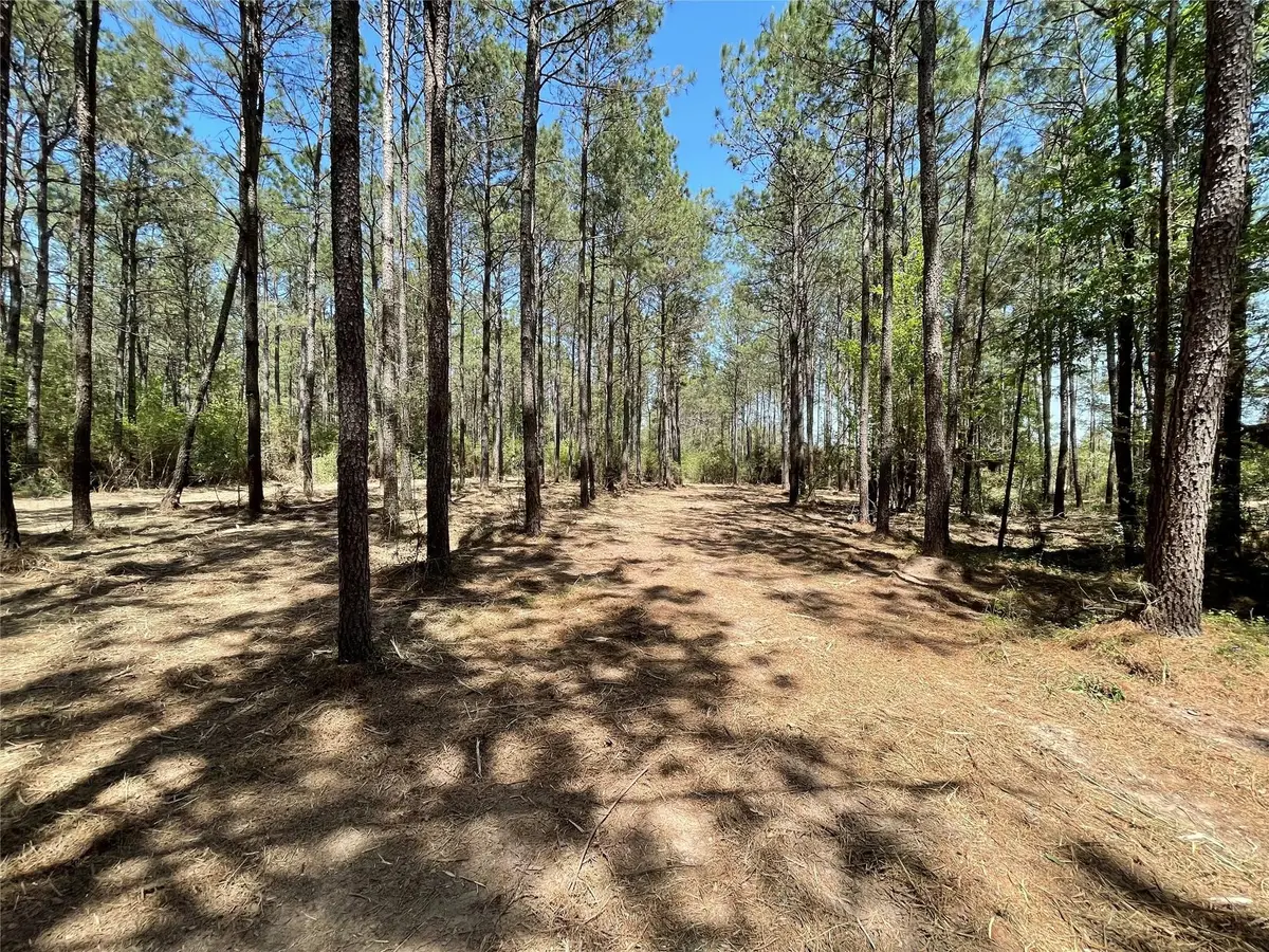15899 Wood Grove Way, Willis, TX 77378 - #1