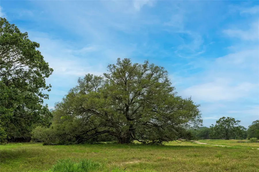 2570 Burke Road, Flatonia, TX 78941 - #3