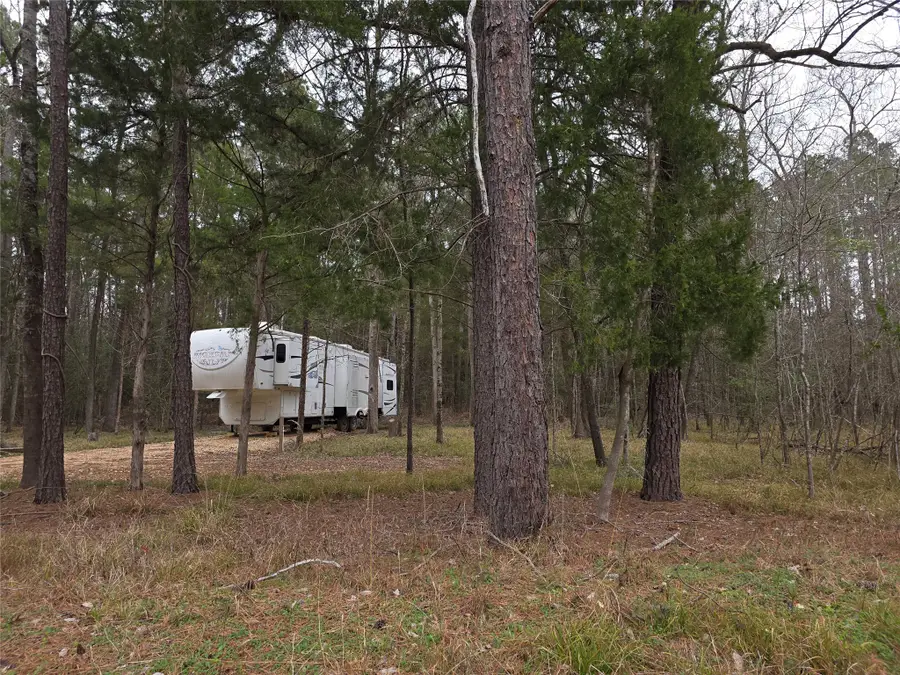 750 Morris Creek Road, Coldspring, TX 77331 - #3