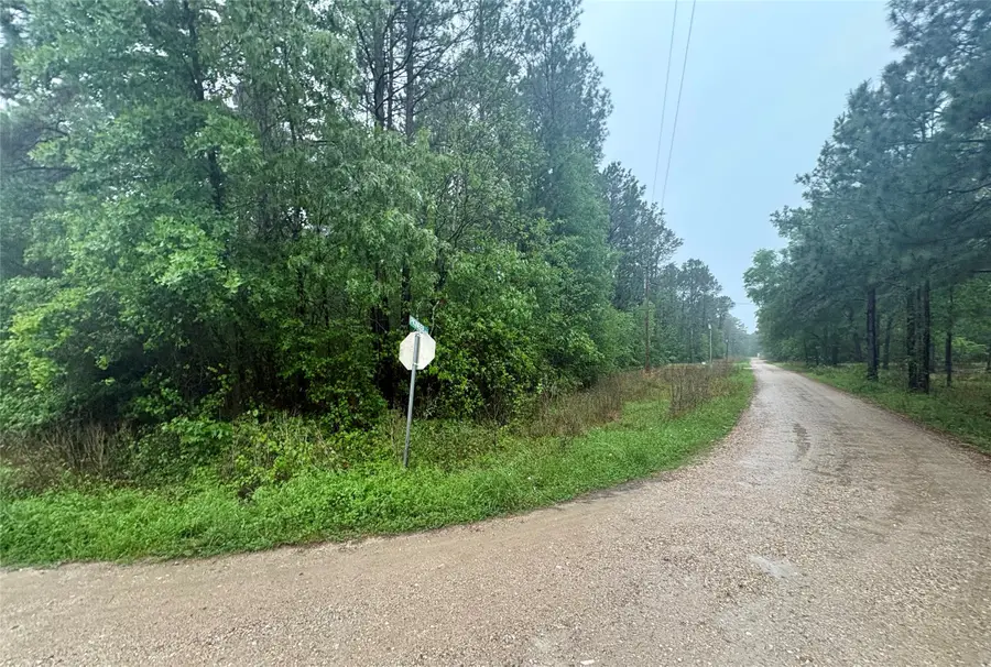 0 Meadowlark Lane, Livingston, TX 77351 - #3