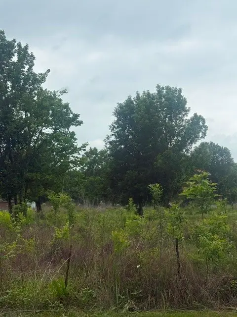 0 County Road 2500, Liberty, TX 77575 - #2