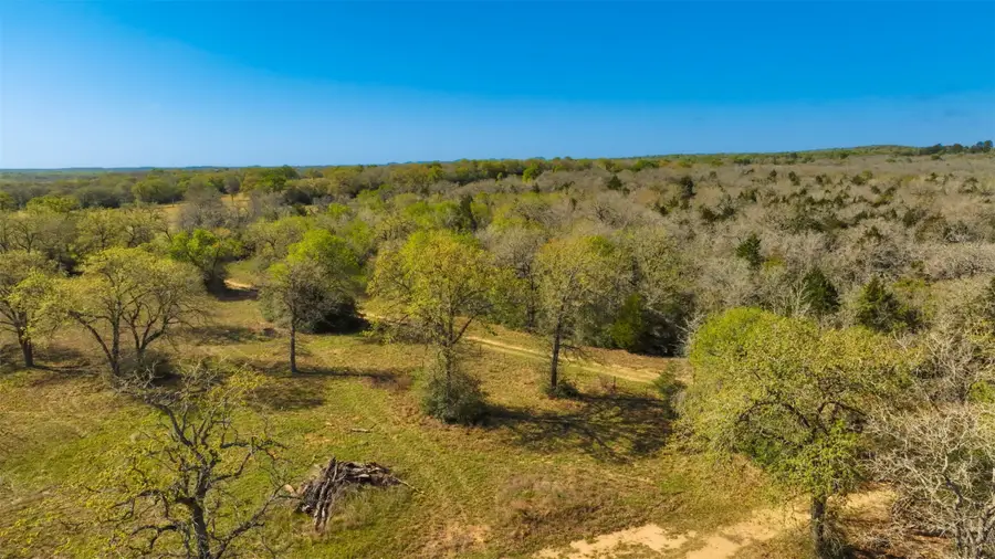 1147 Cr 249, Harwood Ottine, TX 78658 - #3