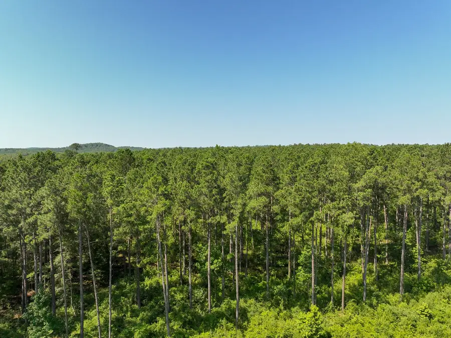 4 Highway 87, Milam, TX 75959 - #2