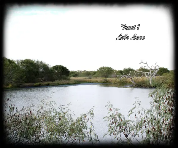 0 Lobo Lane, Columbus, TX 78934