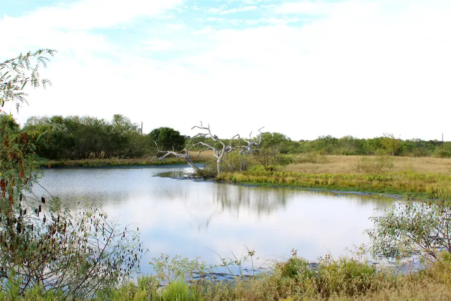 00 Lobo Lane, Columbus, TX 78934 - Image #2