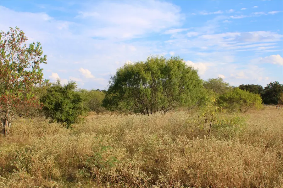00 Lobo Lane, Columbus, TX 78934 - Image #3
