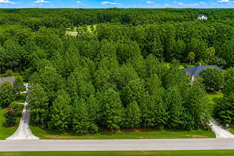 29310 Deer Creek, Magnolia, TX 77355 - #3