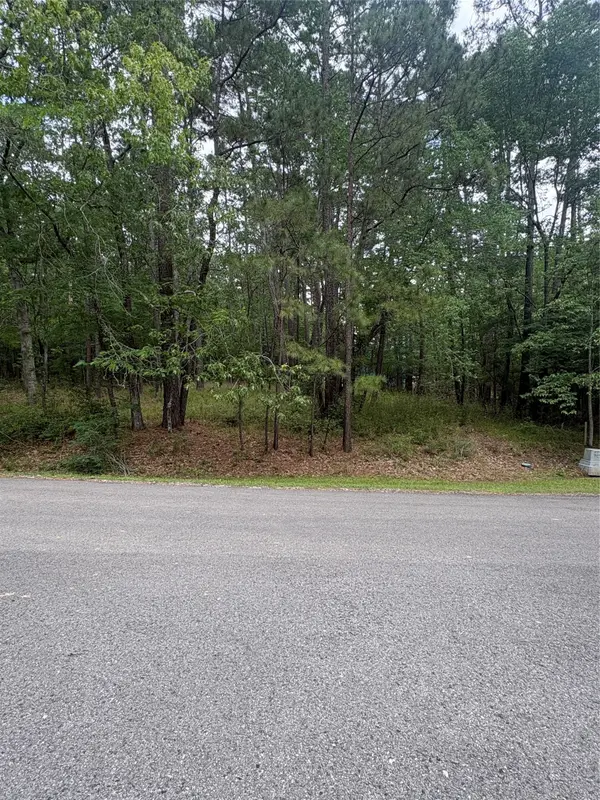 78 Wentworth Lane, Coldspring, TX 77331