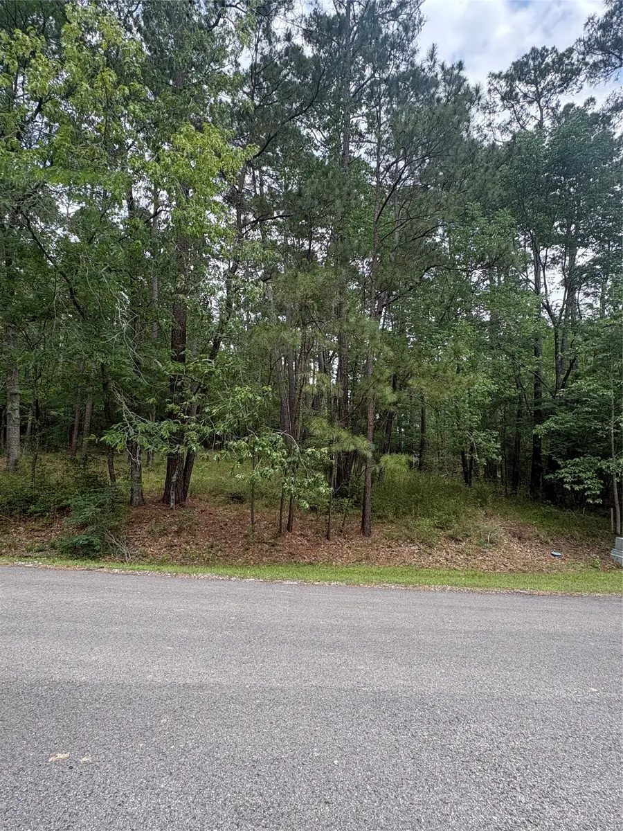 78 Wentworth Lane, Coldspring, TX 77331 - #2