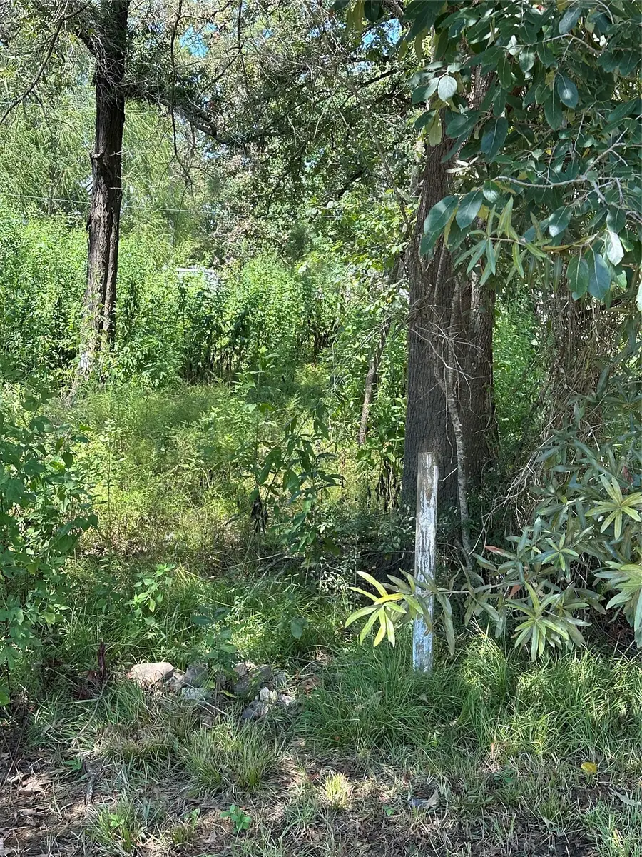 389 E Sherwood Drive, Livingston, TX 77351 - #2