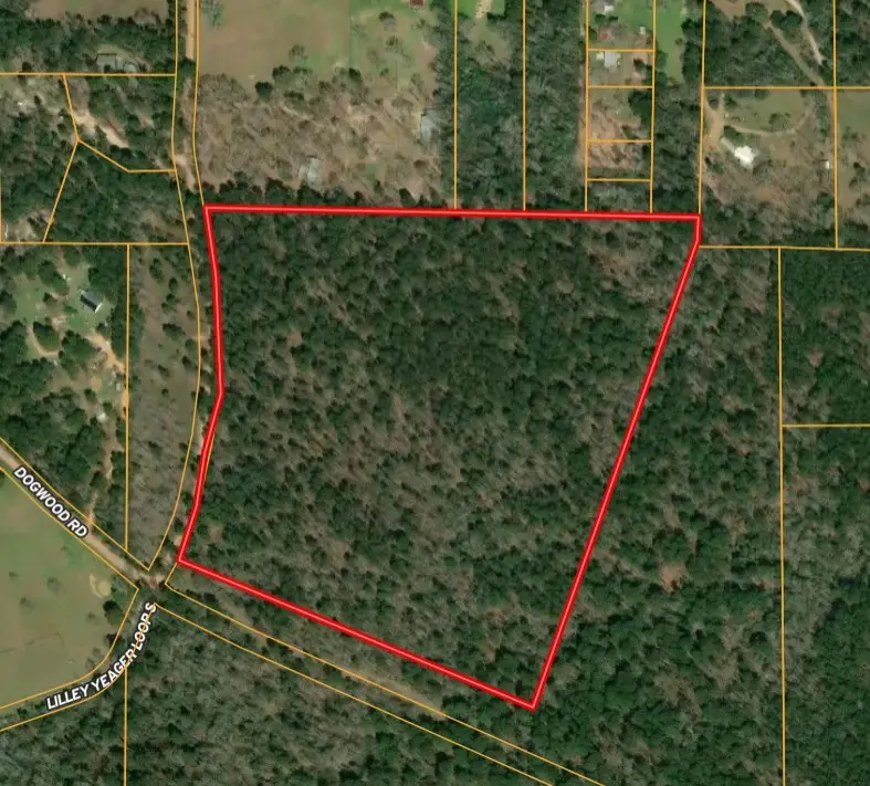 TBD (31) Lilley Yeager Loop N, Cleveland, TX 77328 - #1