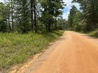 TBD (31) Lilley Yeager Loop N, Cleveland, TX 77328 - #2
