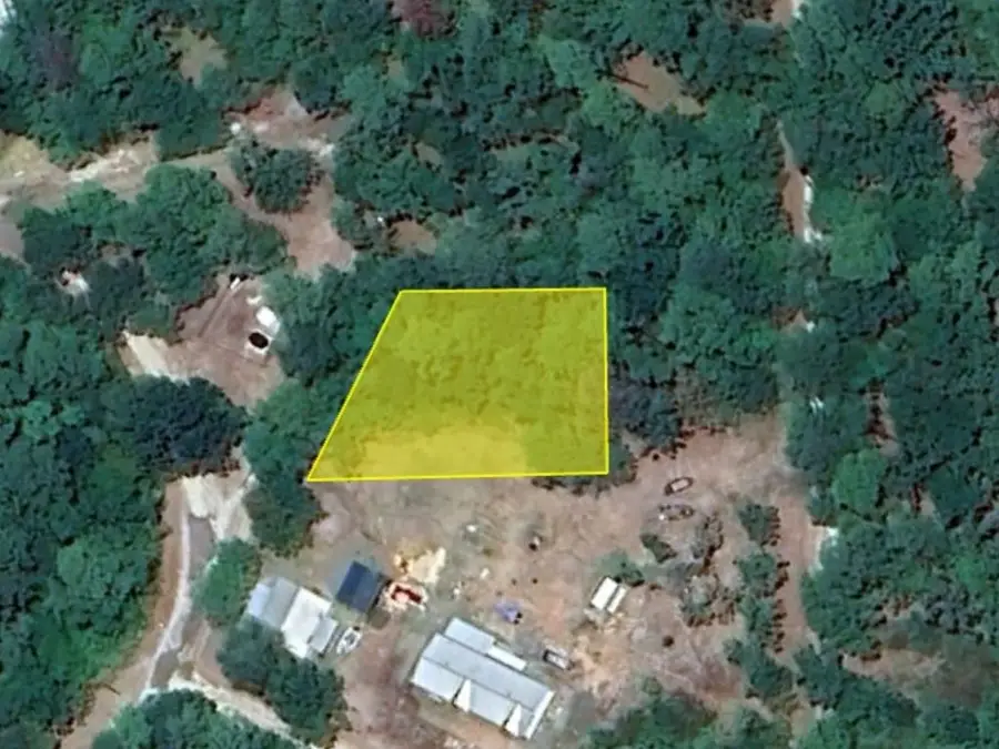 688 Private Rd 7830, Broaddus, TX 75929 - Image #3