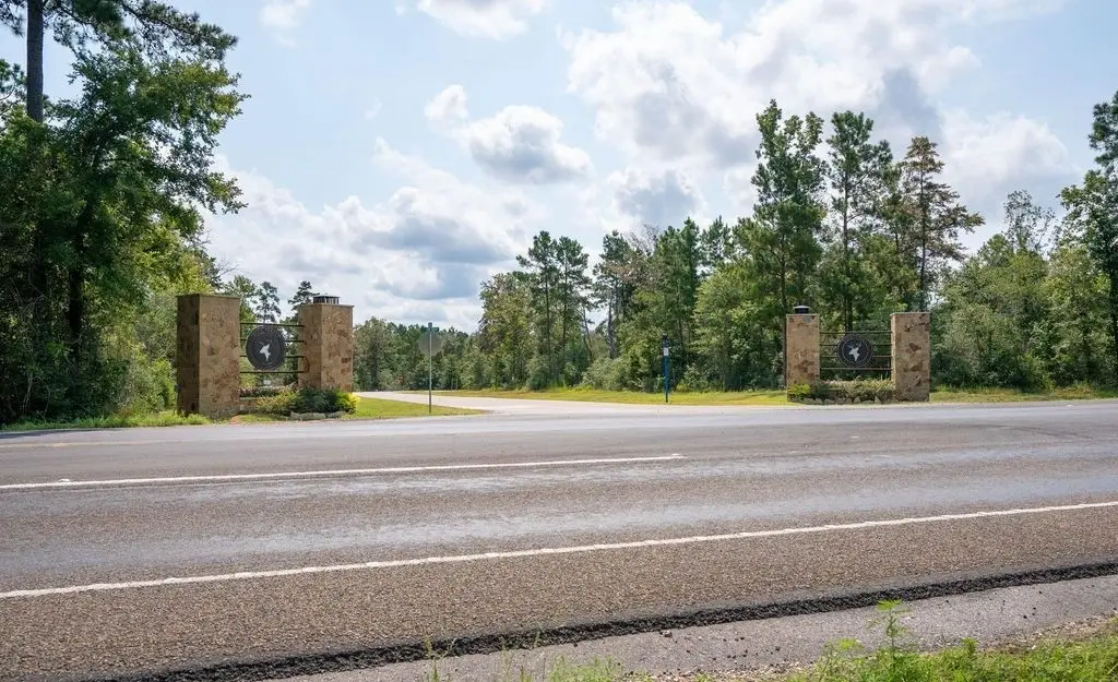 39 Coyote Run, New Waverly, TX 77358 - #1
