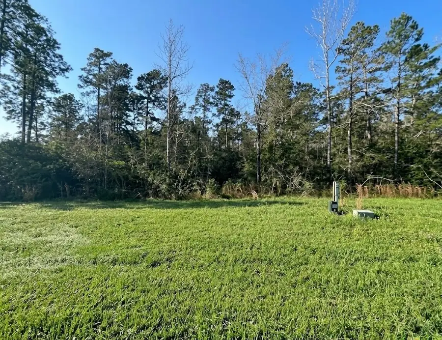 39 Coyote Run, New Waverly, TX 77358 - #2