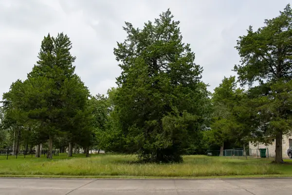TBD St Andrews Drive, New Ulm, TX 78950