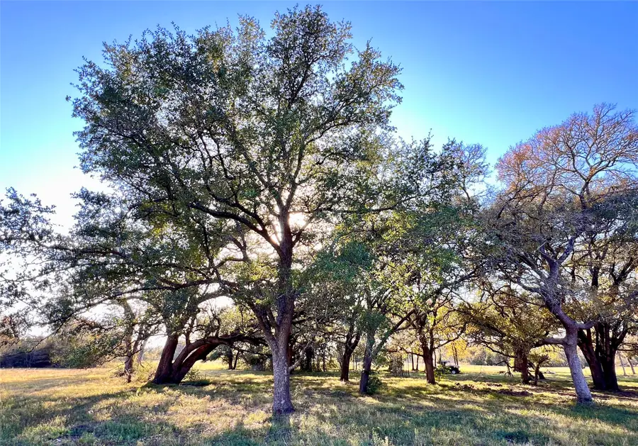 Lot 3 County Road 137, Caldwell, TX 77836 - Image #2