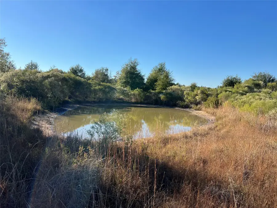 3711 Felix Currie Road, Point Blank, TX 77364 - Image #3