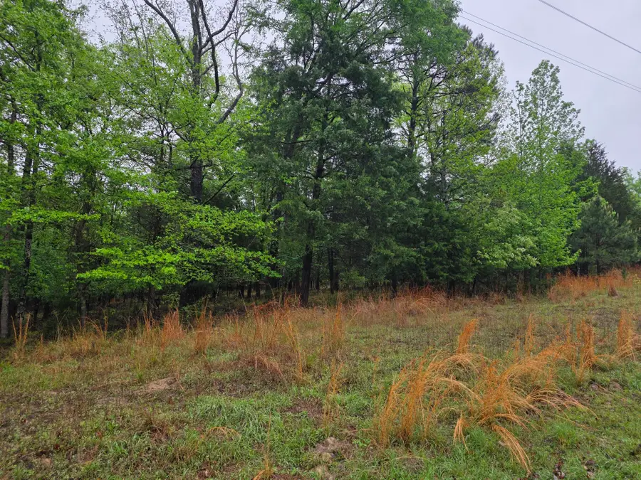 7413 Quail Hollow Court, Larue, TX 75770 - #2