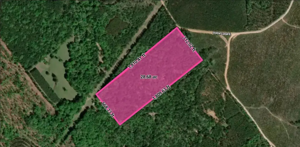 0 Soda Loop E, Livingston, TX 77351 - #1