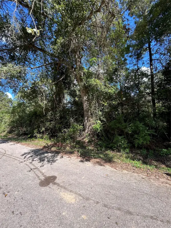 0 Myrtie Dr, Shepherd, TX 77371