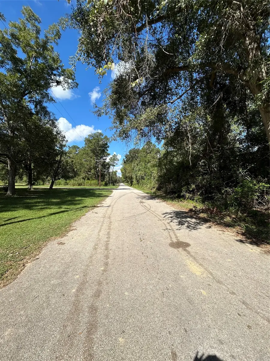 0 Myrtie Dr, Shepherd, TX 77371 - #2