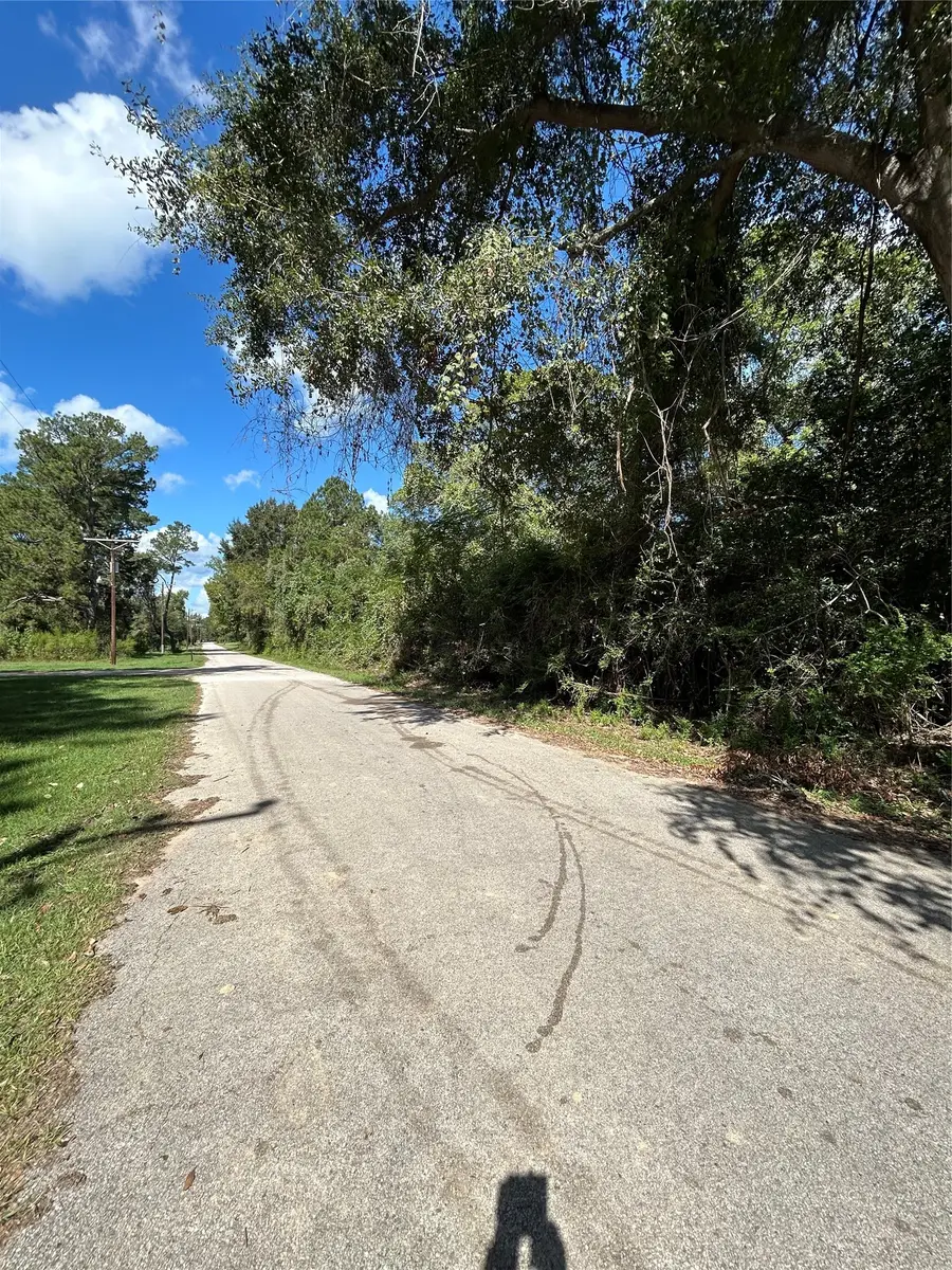 0 Myrtie Dr, Shepherd, TX 77371 - #3