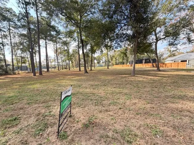 21405 Roberts Cemetery Road, Hockley, TX 77447 - Image #3