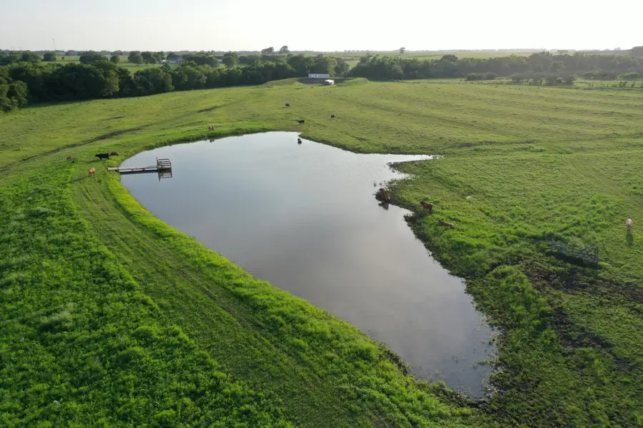 60 Acres Mcnelly Lane, Burton, TX 77835 - #2