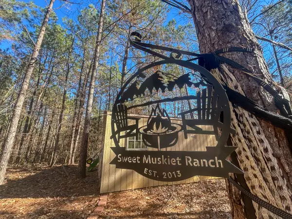 3320 Fm 3065, Colmesneil, TX 75938