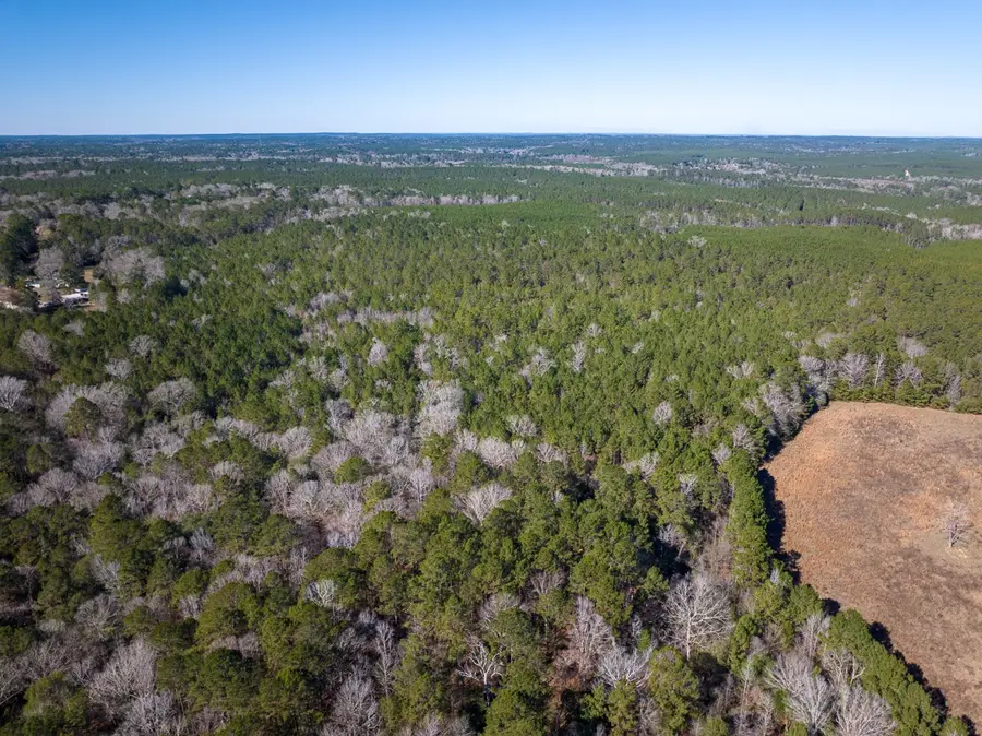 3320 Fm 3065, Colmesneil, TX 75938 - Image #3