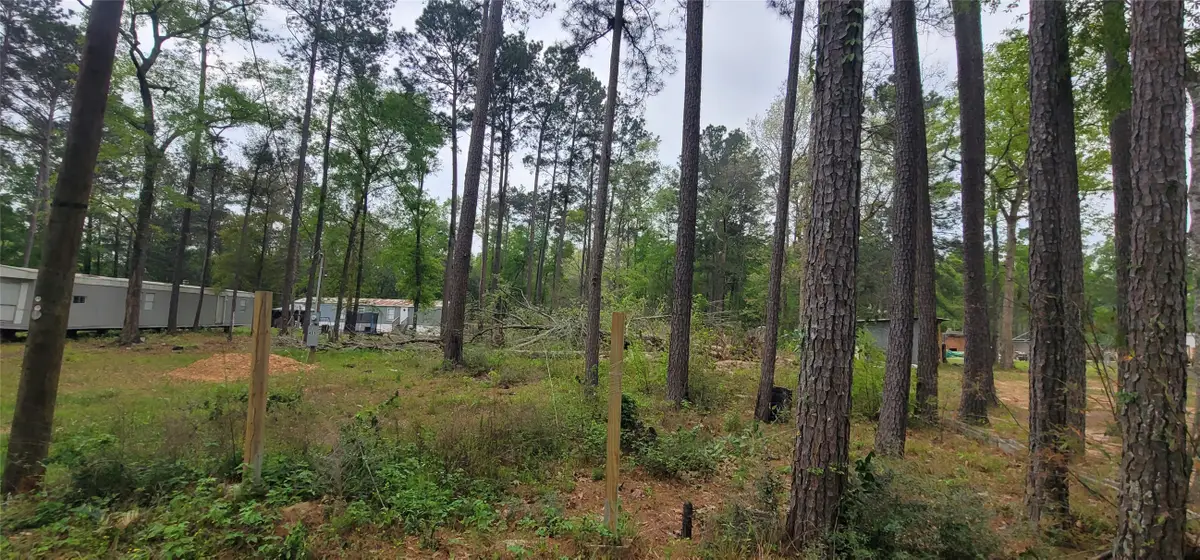 451 N Higgins Road, Shepherd, TX 77371 - #1
