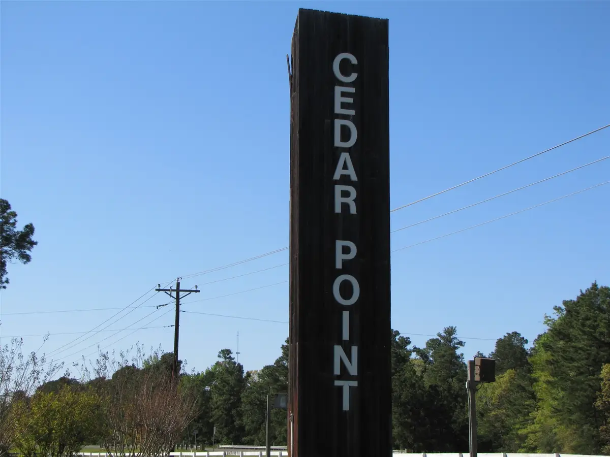 TBD Mesquite, Livingston, TX 77351 - Image #1